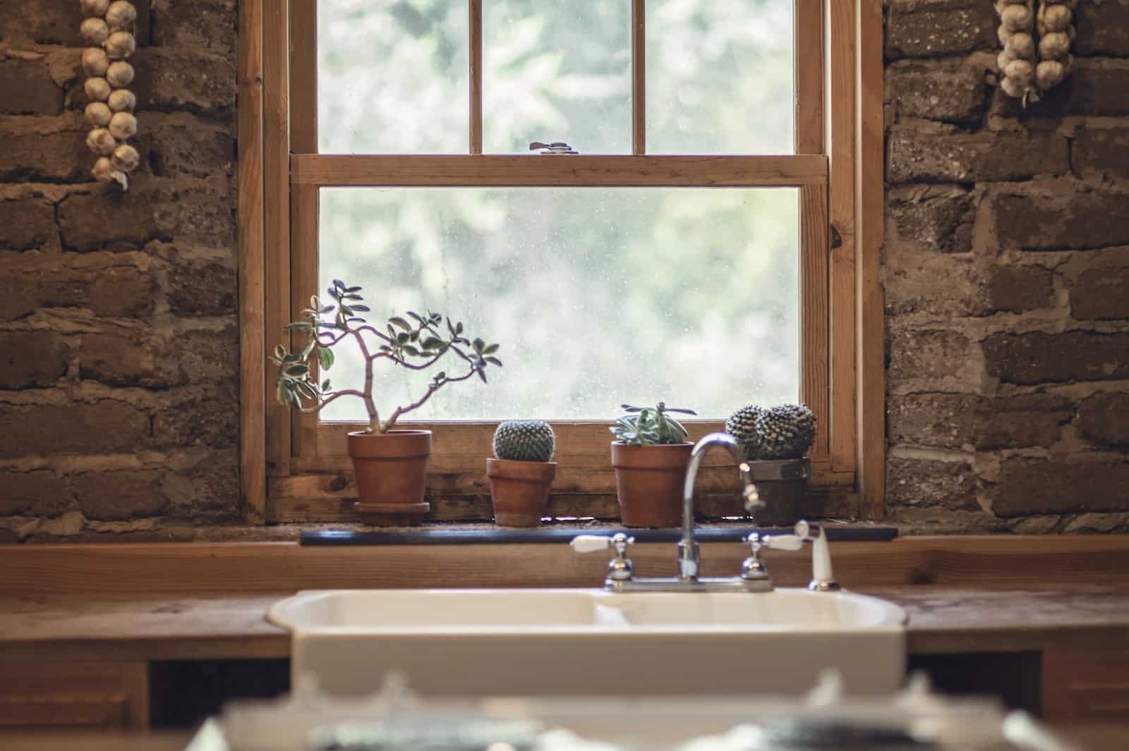 The windowsill is also a good place for plants.