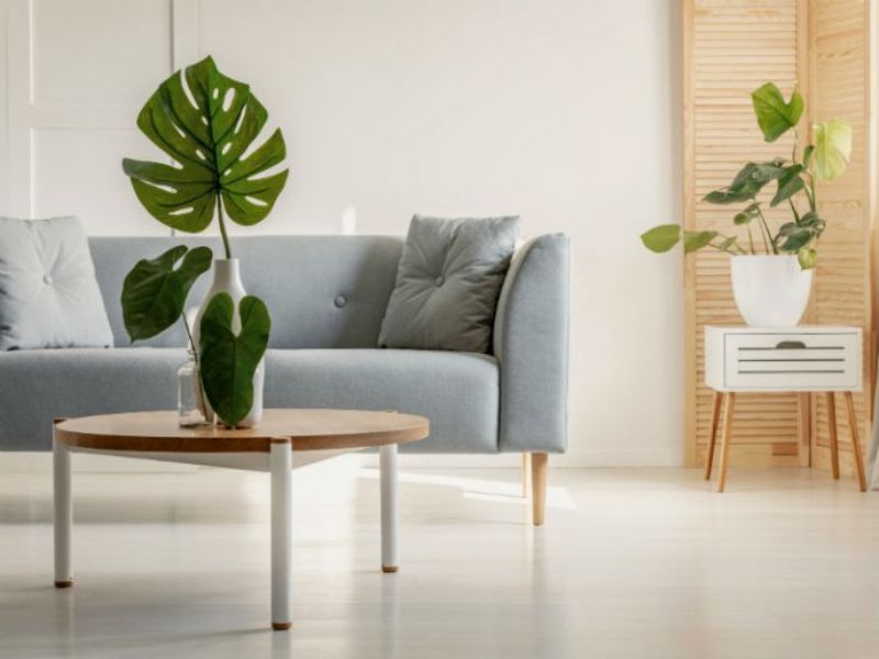 How to decorate living room with plants