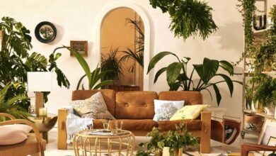 Decoración con plantas