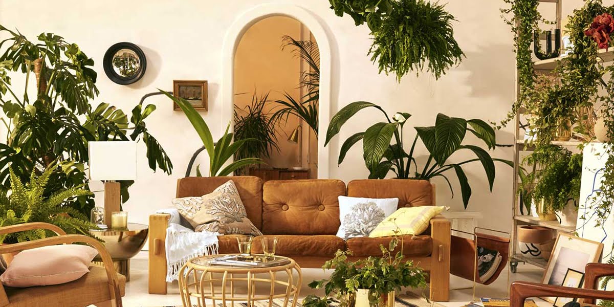 Decorating with plants