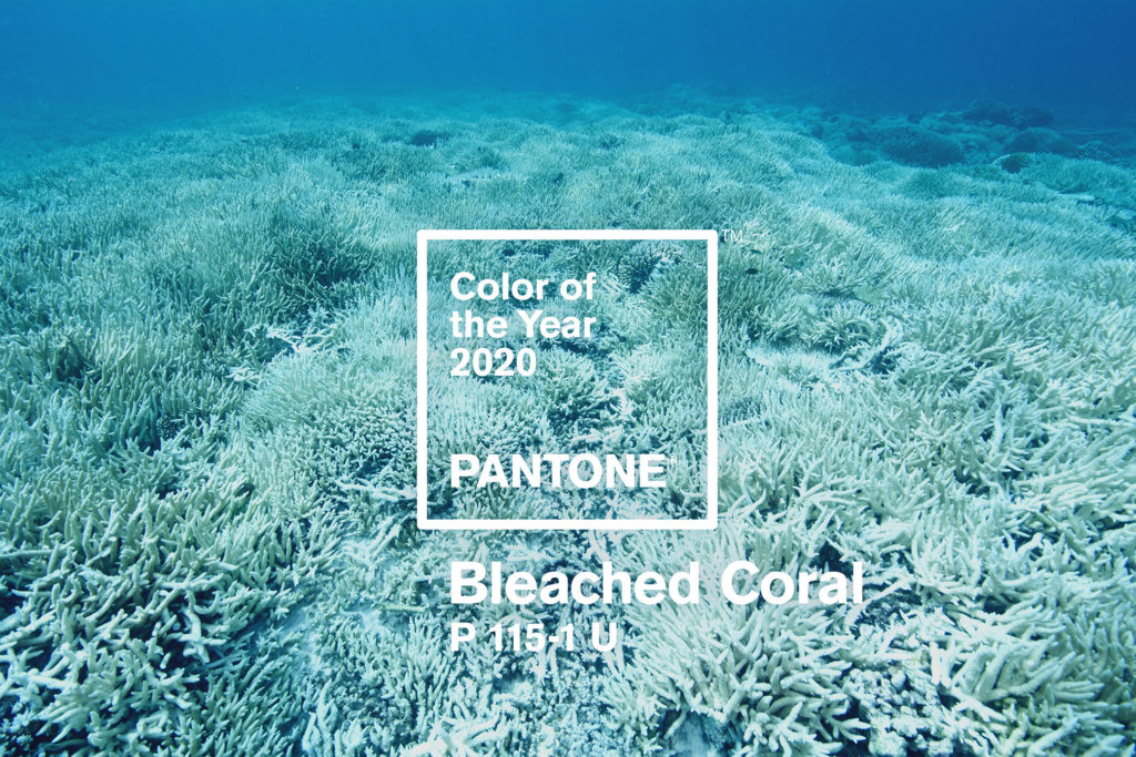 Pantone color of the year 2025