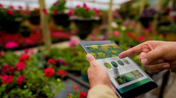 Garden Planner Apps for 2025 2