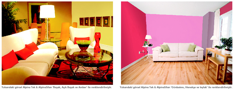 Wall Paints (4)