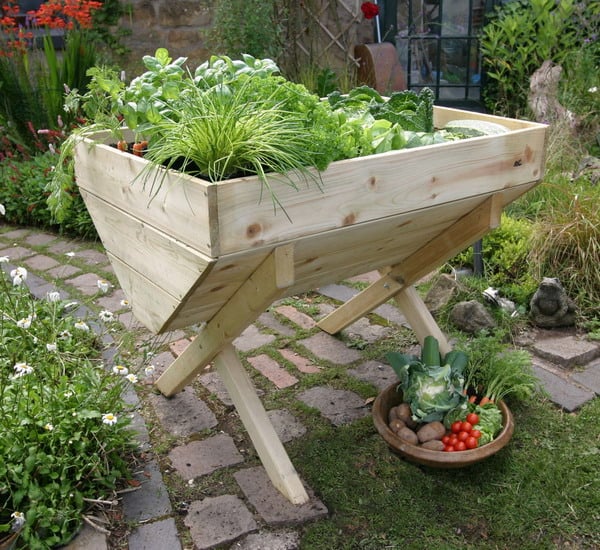 New Garden Trends for 2025