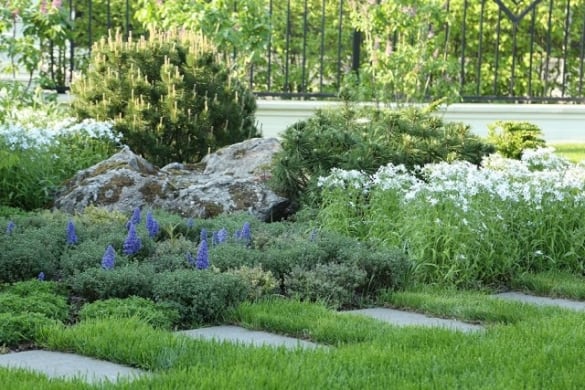 Trends in Landscape Designs 2025