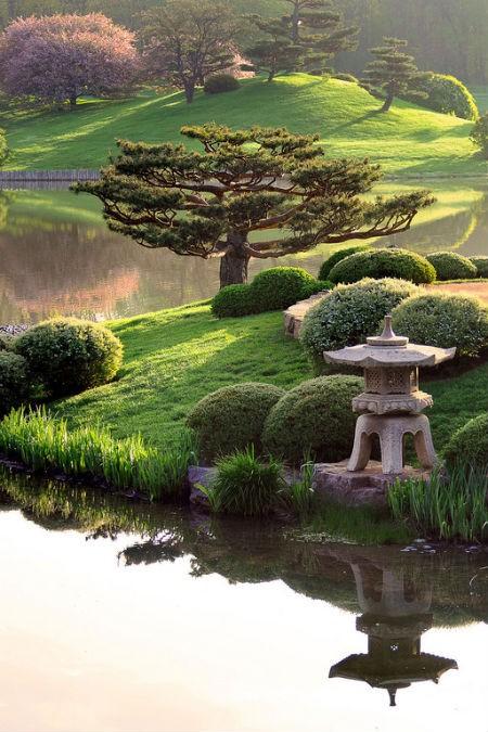 Japanese_garden