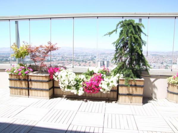 Balcony Arrangement (4)