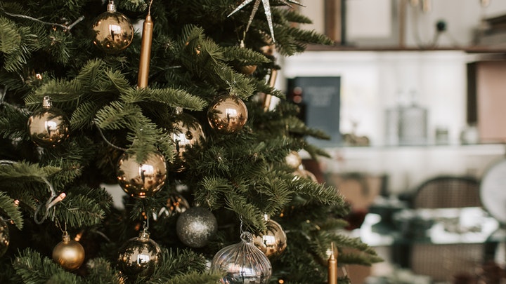 Christmas tree-living room