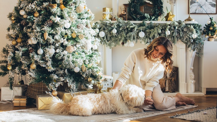 living room decorated for christmas