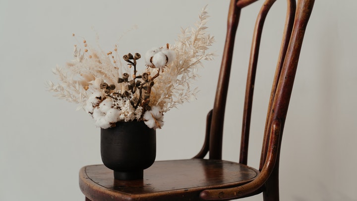 cotton-flower-in-a-chair-vase