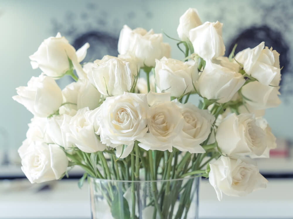 The meaning of white roses