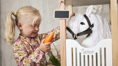 Toy wooden horses