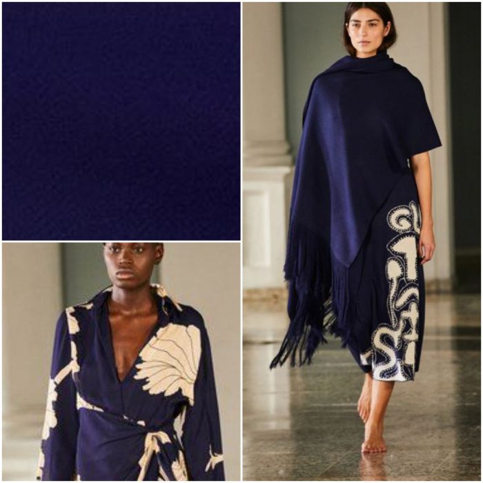 Dark blue Trendy colors winter 2025