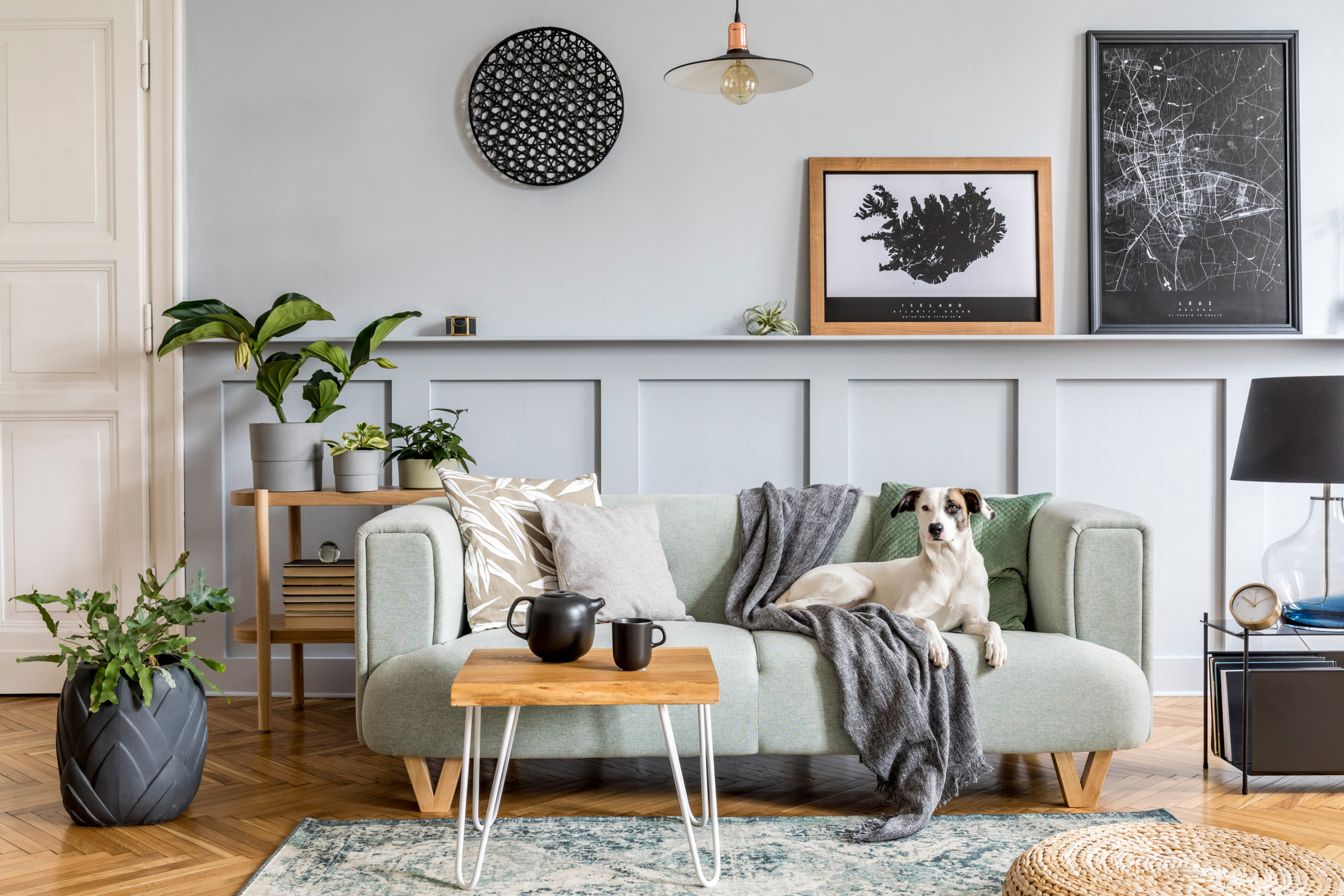 Stylish interior design of living room with modern mint sofa, wooden console, furniture, plant, poster frame, pdecoration, elegant accessories for home decor and dog lying on sofa.