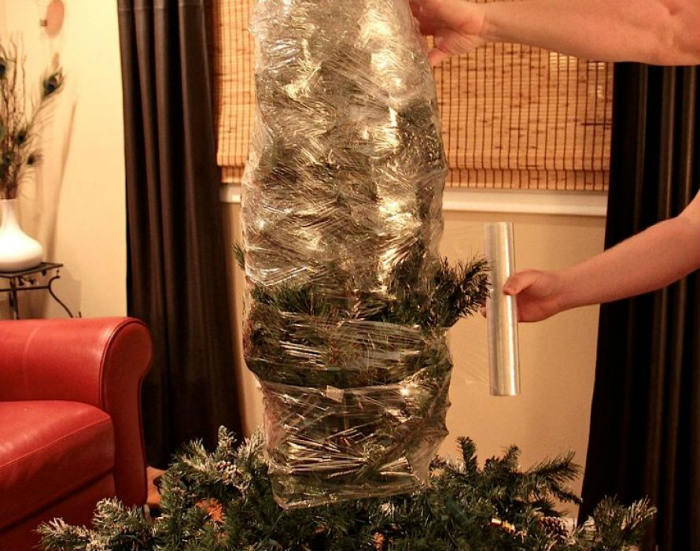 tree wrapping with packing jelly