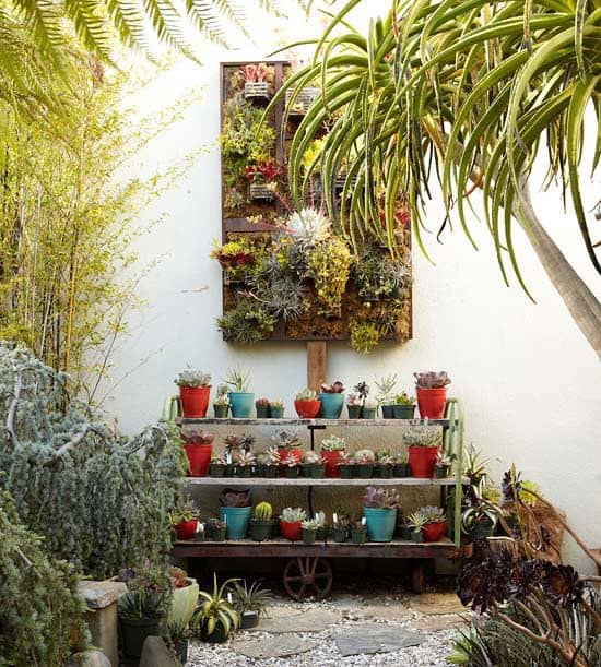 Create a vertical garden