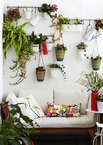 Play with plants on your walls