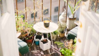 como decorar una terraza o un balcón con plantas