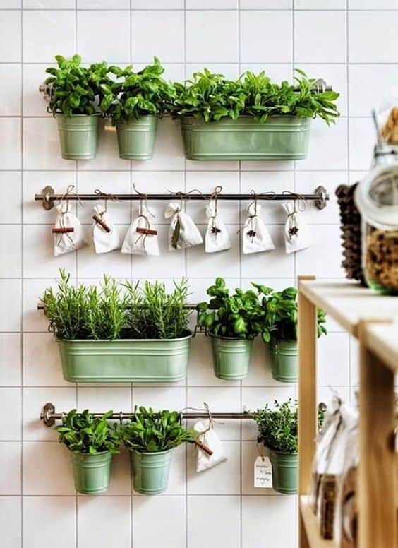 Plant a small spice garden in your kitchen