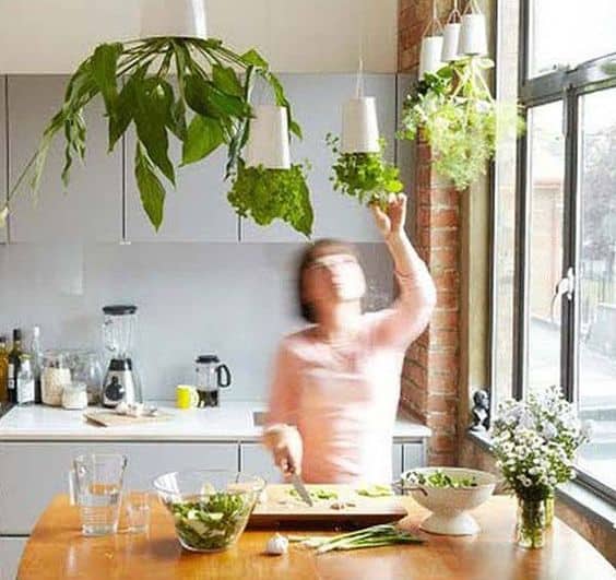 Be even more original by hanging your plants from the ceiling