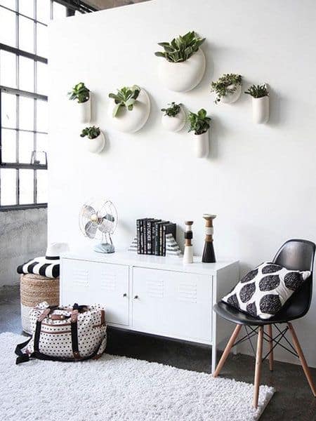 Create a vertical garden