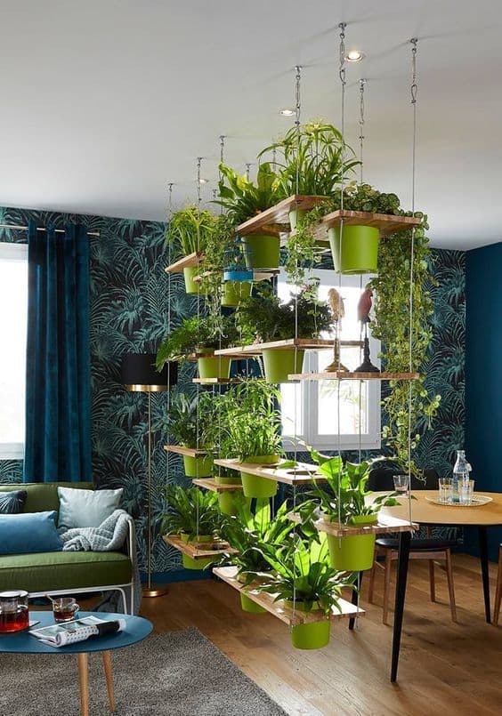 Separate areas with hanging plants