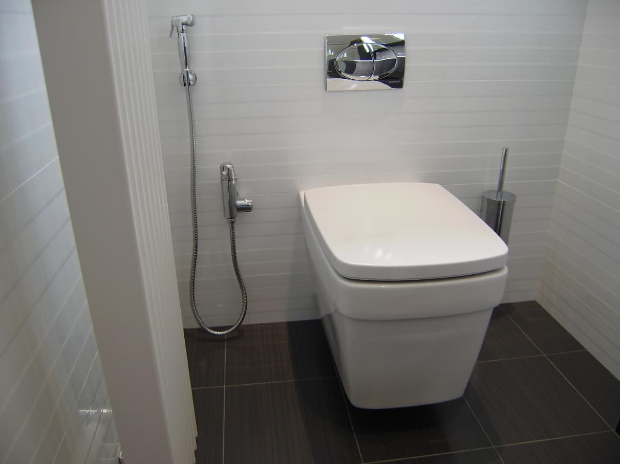 The Perfect, Eco-Friendly Bathroom Should Always Have a Bidet. Simply Clever Design of the Toilet