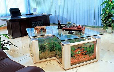 Decorative Aquariums (5)