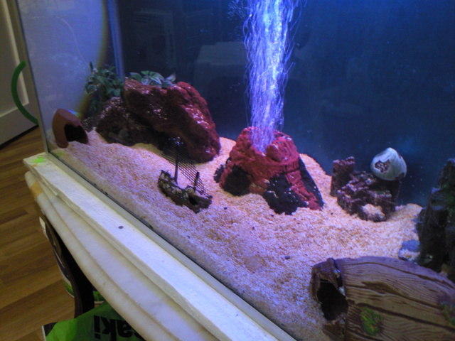 Decorative Aquariums