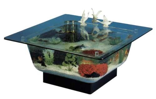 Decorative Aquariums (1)