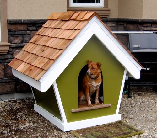 Stylish Dog Houses (5)