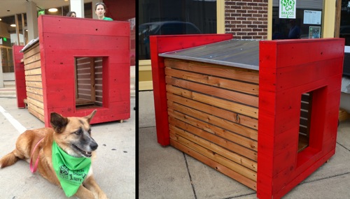 Stylish Dog Houses (6)