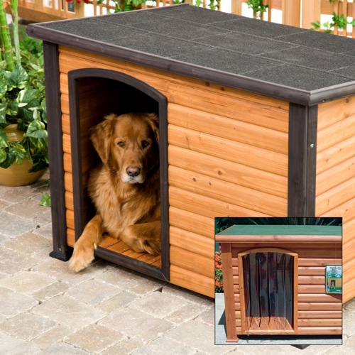 Stylish Dog Houses (8)