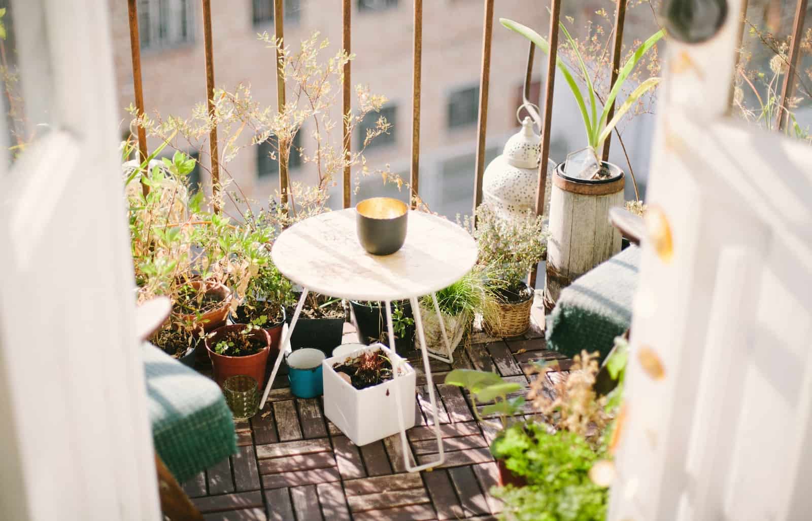 How to decorate a terrace or balcony with plants