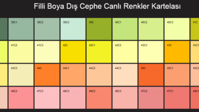 En Popüler Filli Boya Dış Cephe Boyaları