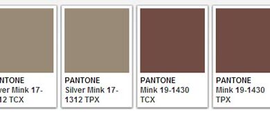 Home Decoration with Mink Color