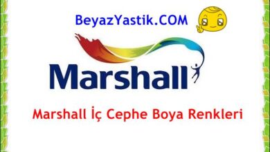 Marshall İç Cephe Boya Renkleri 2024