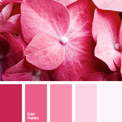 Meaning of Pink Color: Secrets to Pure Happiness