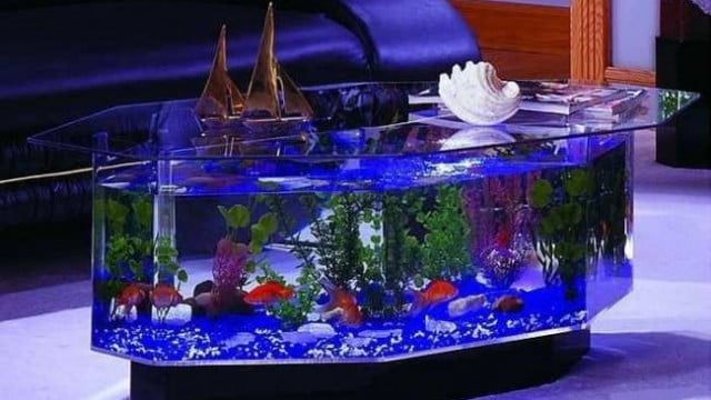 aquarium-models