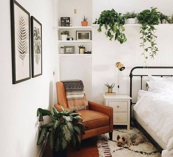 What plants should be kept in the bedroom?