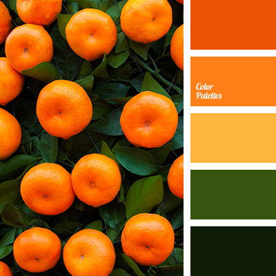 Tangerine Color and Meaning: The Surprising Secret