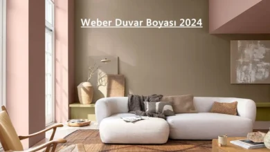 Weber Duvar Boyası 2025