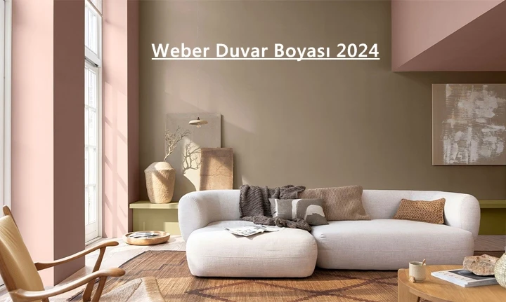 Weber Wall Paint 2025